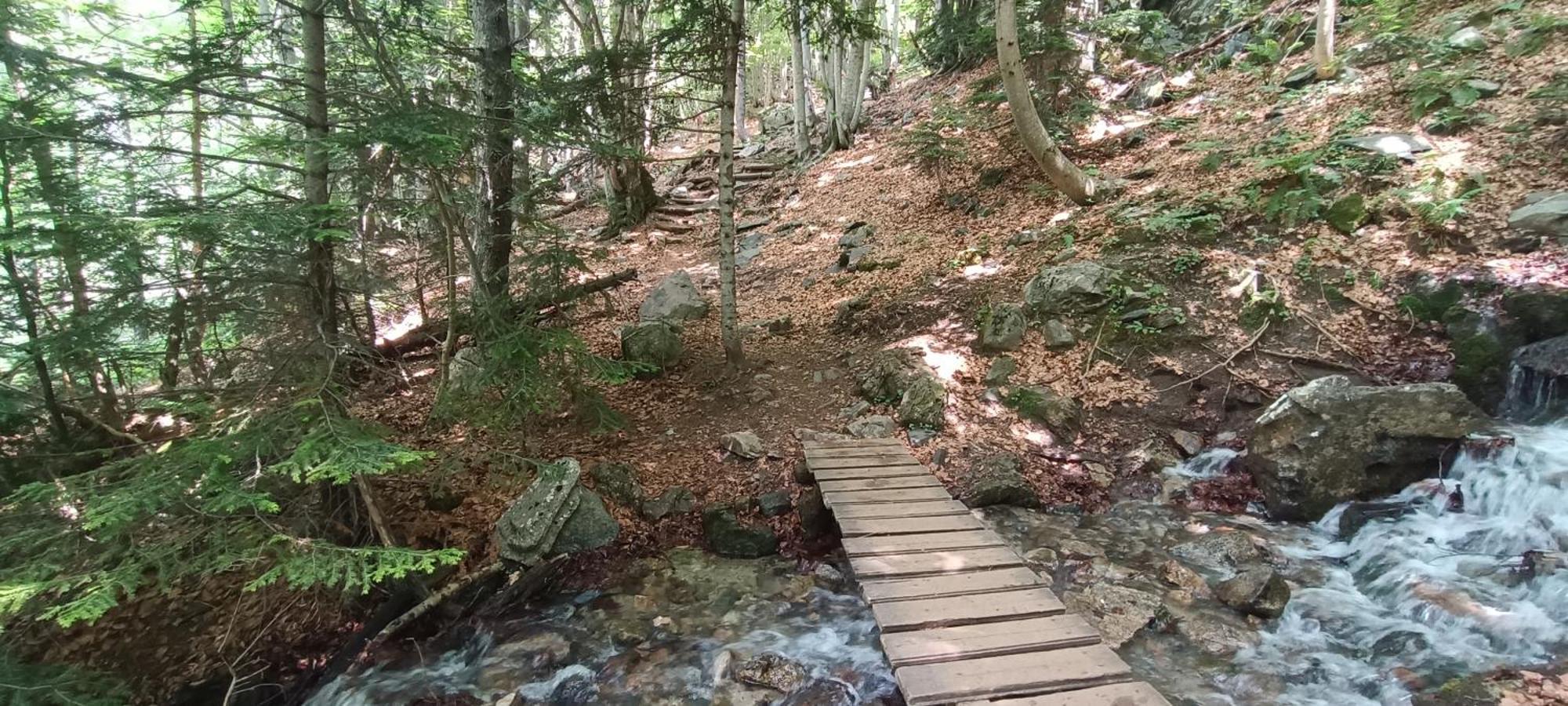 Apartamento El Refugio De Sara Benasque Eksteriør bilde